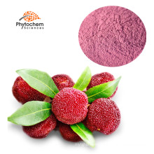 fresh waxberry juice powder bayberry wax myricetin bayberry extract